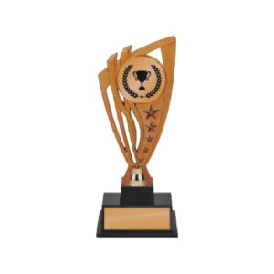 Acrylic Trophy Acrylic Trophy CA2066