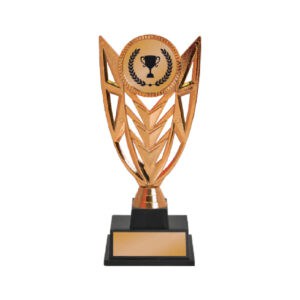 Acrylic Trophy Acrylic Trophy CA2069