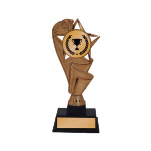 Acrylic Trophy Acrylic Trophy CA2078