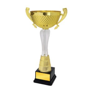 Acrylic Trophy Acrylic Trophy CA2079