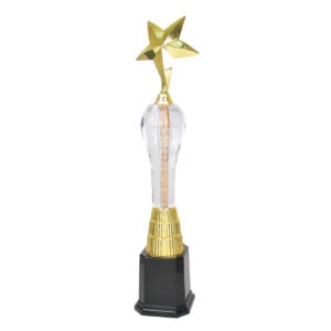 Acrylic Trophy Acrylic Trophy CA2080
