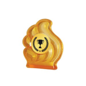 Acrylic Awards Acrylic Awards CA5009