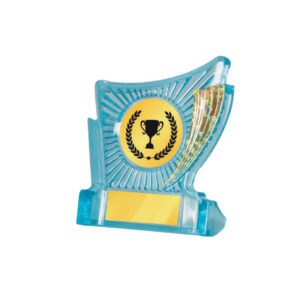 Acrylic Awards Acrylic Awards CA5015