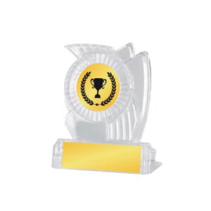Acrylic Awards Acrylic Awards CA5016