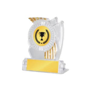 Acrylic Awards Acrylic Awards CA5017