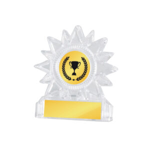 Acrylic Awards Acrylic Awards CA5018