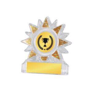 Acrylic Awards Acrylic Awards CA5019