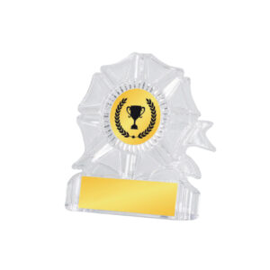 Acrylic Awards Acrylic Awards CA5020