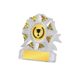 Acrylic Awards Acrylic Awards CA5021