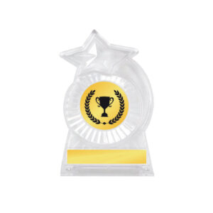 Acrylic Awards Acrylic Awards CA5022