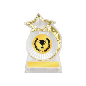 Acrylic Awards Acrylic Awards CA5023