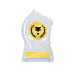 Acrylic Awards Acrylic Awards CA5024