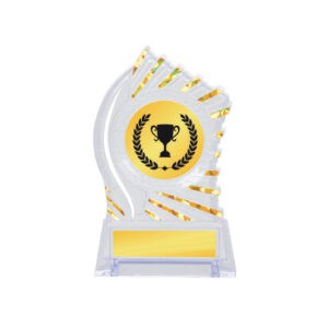 Acrylic Awards Acrylic Awards CA5025