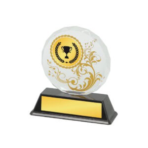 Acrylic Awards Acrylic Awards CA5026
