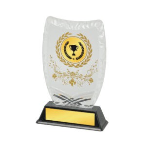 Acrylic Awards Acrylic Awards CA5028
