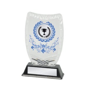 Acrylic Awards Acrylic Awards CA5029