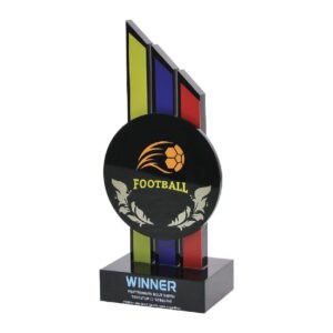 Awards Custom Awards CA6614
