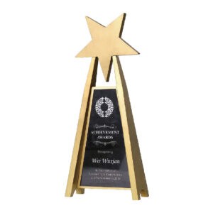 Awards Custom Awards CA6615