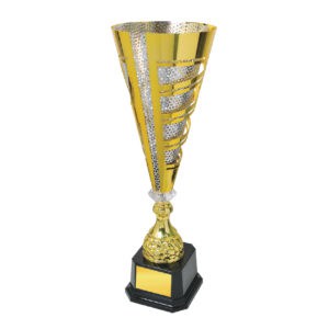 Cup Trophy Cup Trophy IC154