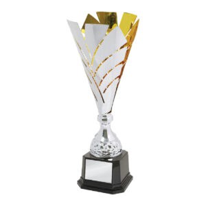 Cup Trophy Cup Trophy IC155