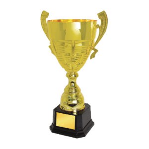 Cup Trophy Cup Trophy IC156