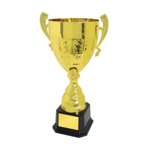 Cup Trophy Cup Trophy IC157