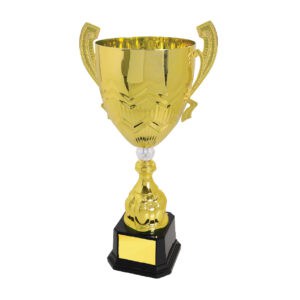 Cup Trophy Cup Trophy IC158