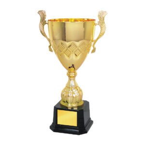 Cup Trophy Cup Trophy IC159