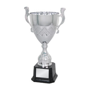 Cup Trophy Cup Trophy IC160