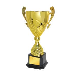 Cup Trophy Cup Trophy IC161