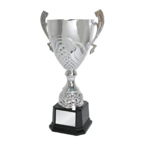 Cup Trophy Cup Trophy IC162
