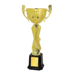 Cup Trophy Cup Trophy IC163