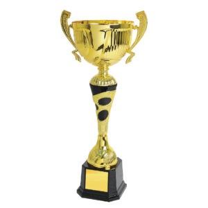 Cup Trophy Cup Trophy IC167