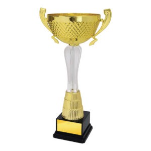 Cup Trophy Cup Trophy IC169