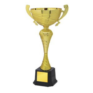Cup Trophy Cup Trophy IC185