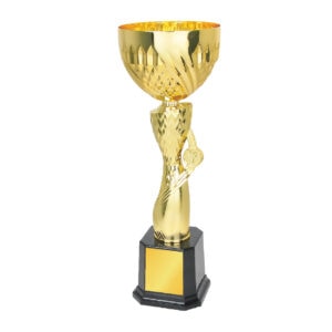 Cup Trophy Cup Trophy IC297