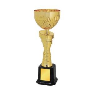 Cup Trophy Cup Trophy IC310