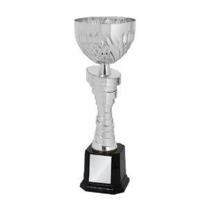Cup Trophy Cup Trophy IC311
