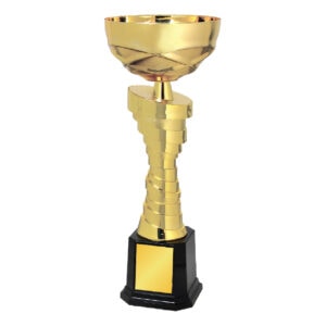 Cup Trophy Cup Trophy IC312