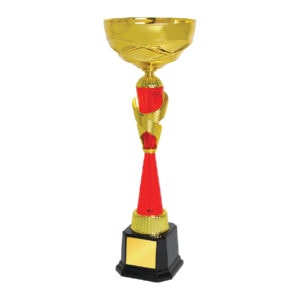 Cup Trophy Cup Trophy IC313