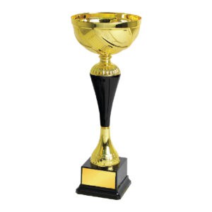 Cup Trophy Cup Trophy IC316