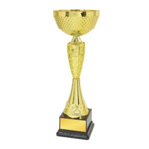 Cup Trophy Cup Trophy IC319