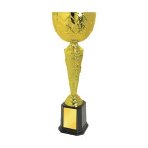 Cup Trophy Cup Trophy IC323