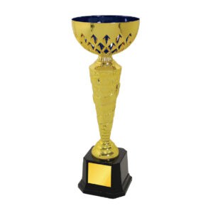 Cup Trophy Cup Trophy IC330
