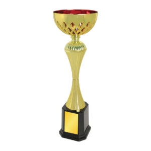 Cup Trophy Cup Trophy IC331