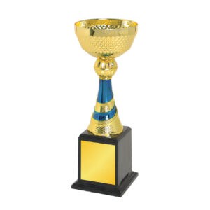 Cup Trophy Cup Trophy IC332
