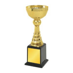 Cup Trophy Cup Trophy IC334