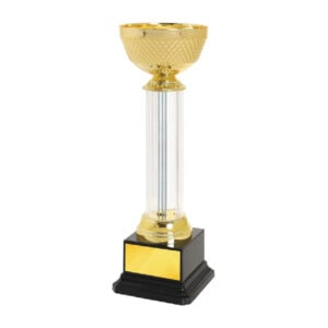 Cup Trophy Cup Trophy IC335