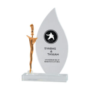 Crystal Plaques Crystal Plaques RC9510