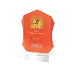 Crystal Plaques Crystal Plaques RC9528